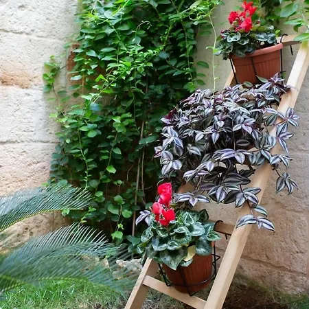 Apartament Il Giardinetto Di *